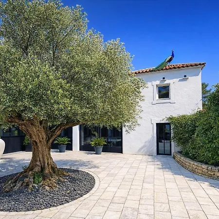 Domaine Prive 5 Etoiles 14 Pers Dans La Nature A 500m