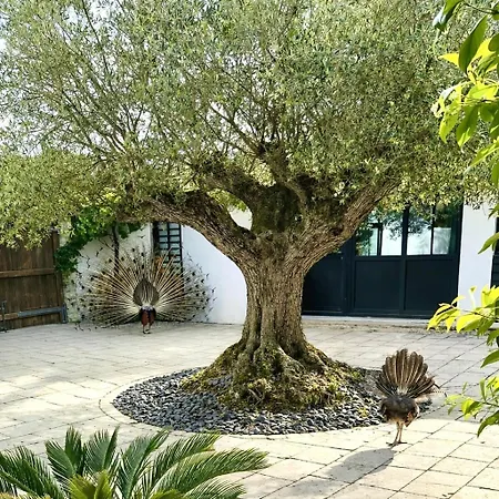 Domaine Prive 5 Etoiles 14 Pers Dans La Nature A 500m Villa Le Bois-Plage-en-Re
