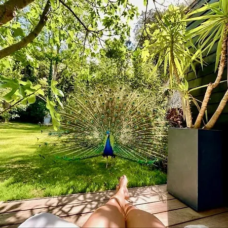 Domaine Prive 5 Etoiles 14 Pers Dans La Nature A 500m Villa Le Bois-Plage-en-Ré