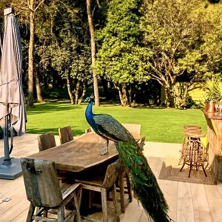 Domaine Prive 5 Etoiles 14 Pers Dans La Nature A 500m Villa *