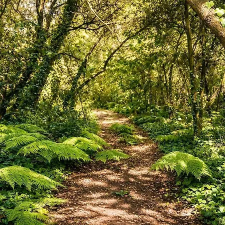 Domaine Prive 5 Etoiles 14 Pers Dans La Nature A 500m Le Bois-Plage-en-Re