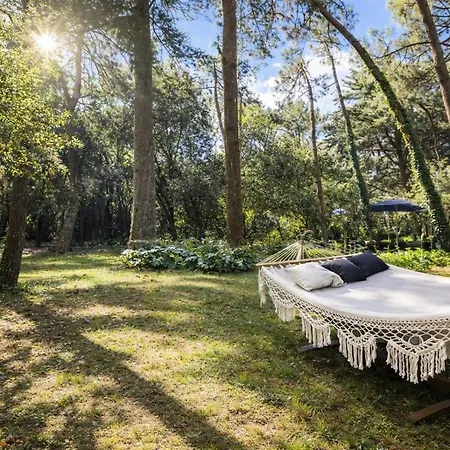Villa Domaine Prive 5 Etoiles 14 Pers Dans La Nature A 500m Le Bois-Plage-en-Re
