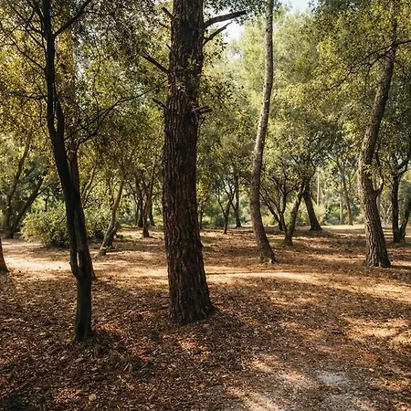 Domaine Prive 5 Etoiles 14 Pers Dans La Nature A 500m Villa Le Bois-Plage-en-Re