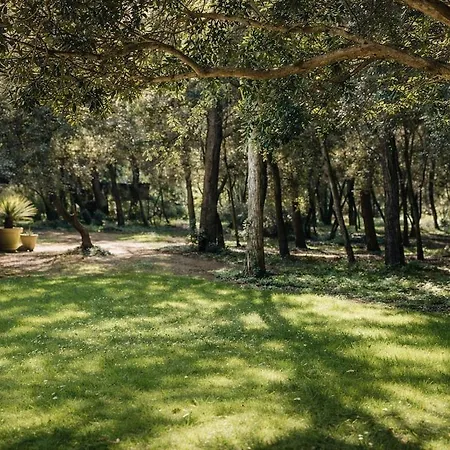Domaine Prive 5 Etoiles 14 Pers Dans La Nature A 500m Villa