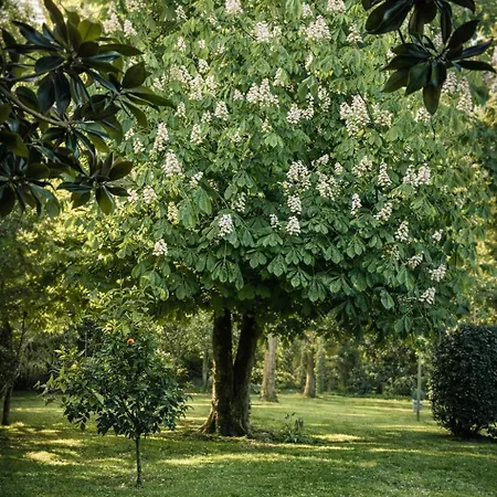 Villa Domaine Prive 5 Etoiles 14 Pers Dans La Nature A 500m *