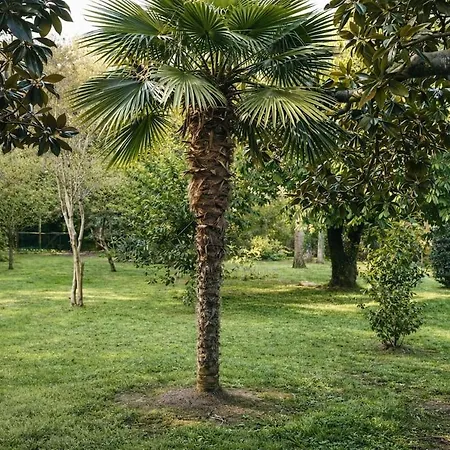 Villa Domaine Prive 5 Etoiles 14 Pers Dans La Nature A 500m *