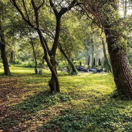 Domaine Prive 5 Etoiles 14 Pers Dans La Nature A 500m Le Bois-Plage-en-Ré