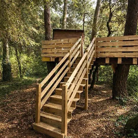 Domaine Prive 5 Etoiles 14 Pers Dans La Nature A 500m * Le Bois-Plage-en-Re